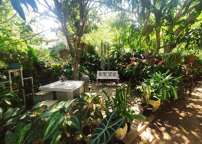 Bird House Homestays
