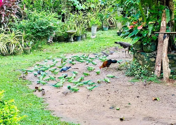 Bird House Homestays