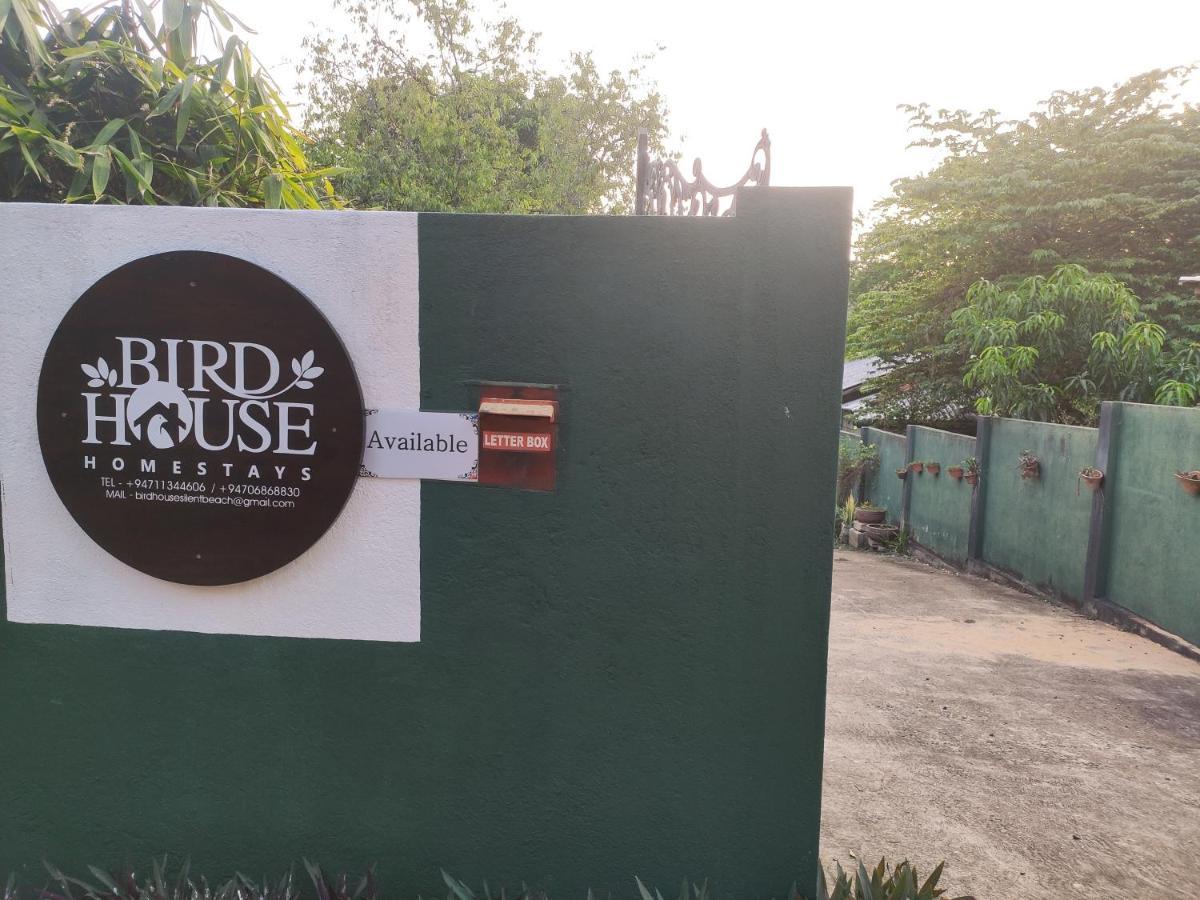 Bird House Homestay *
