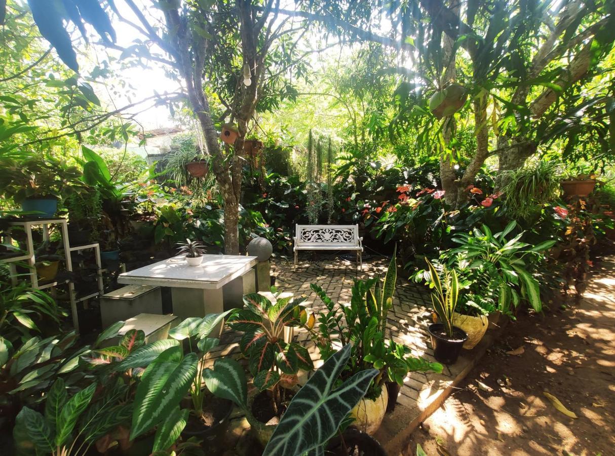 Bird House Homestay Tangalle