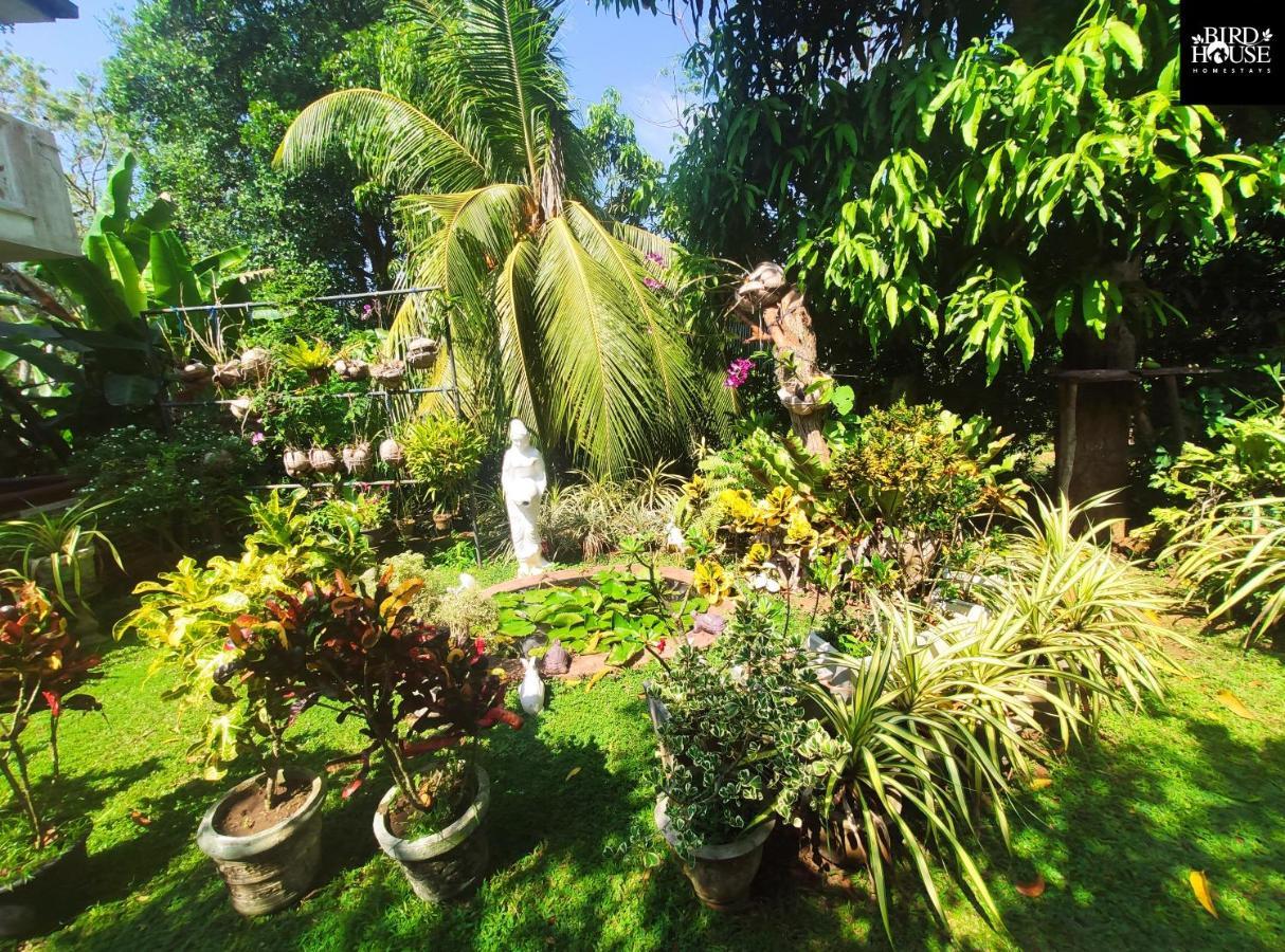 Bird House * Tangalle